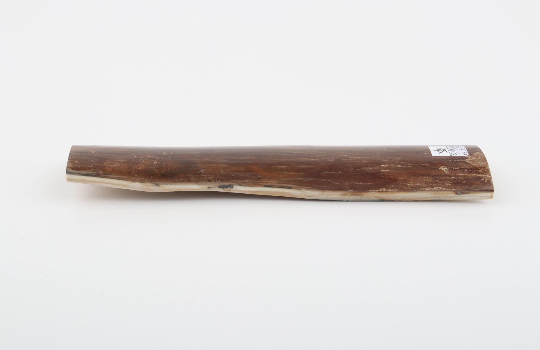 Brown mammoth bark