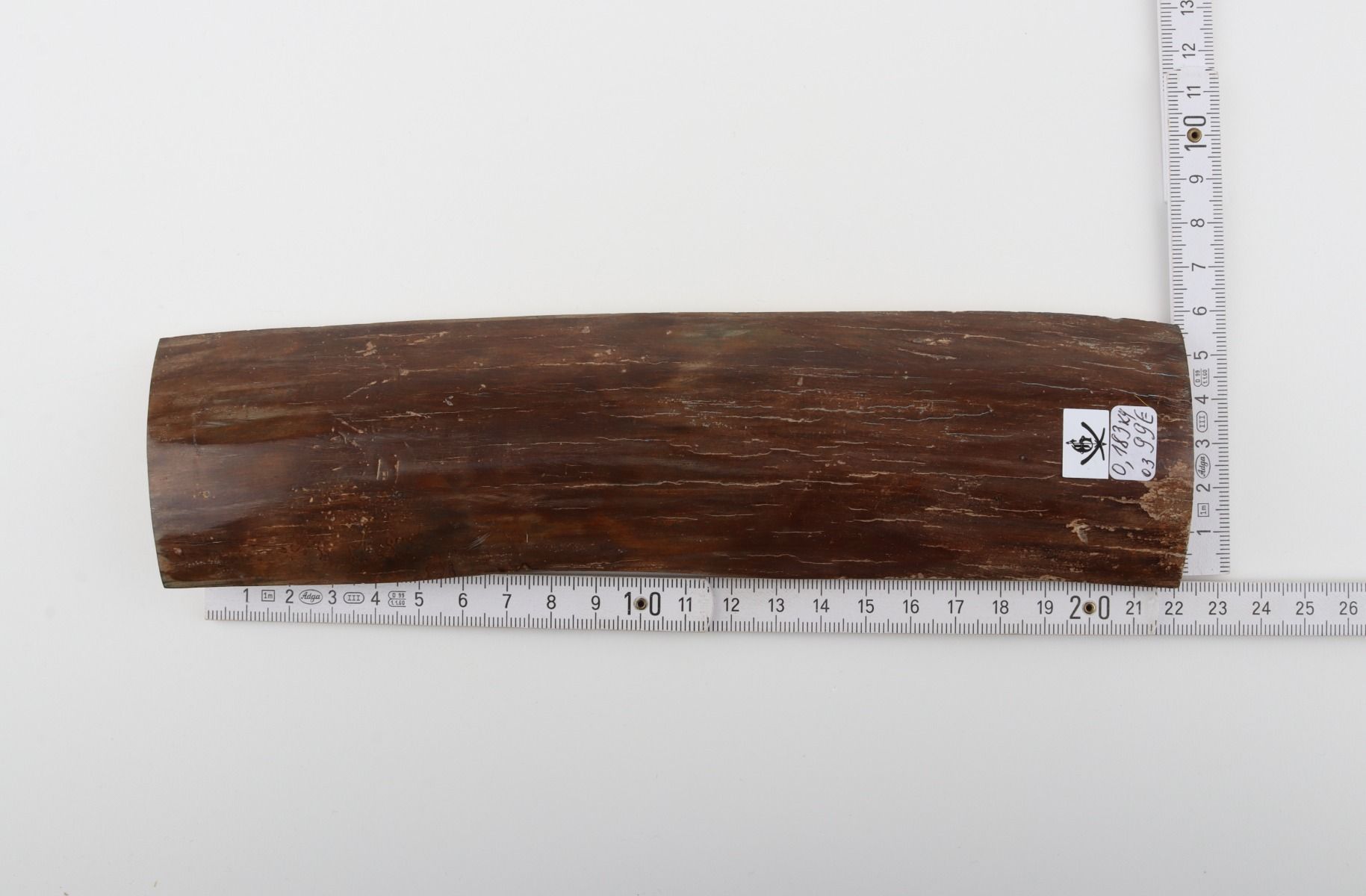 Brown mammoth bark