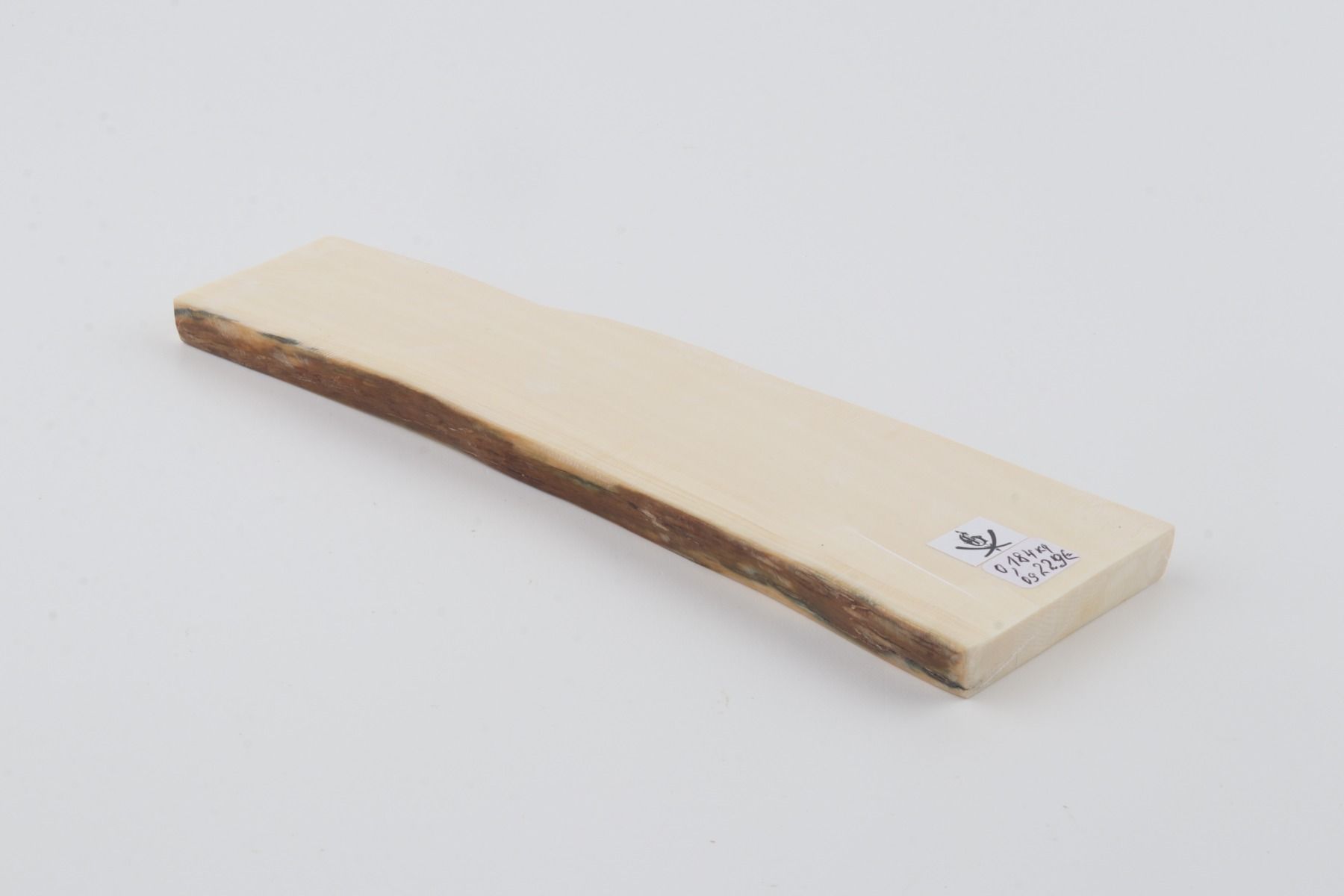 White mammoth ivory segment