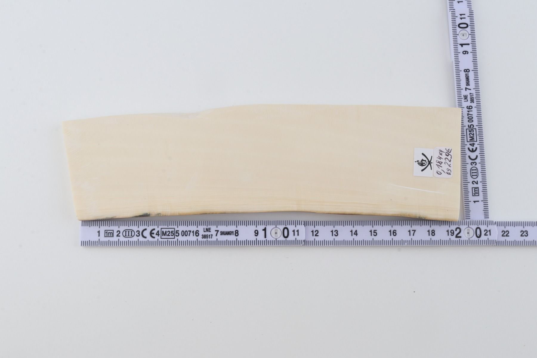 White mammoth ivory segment