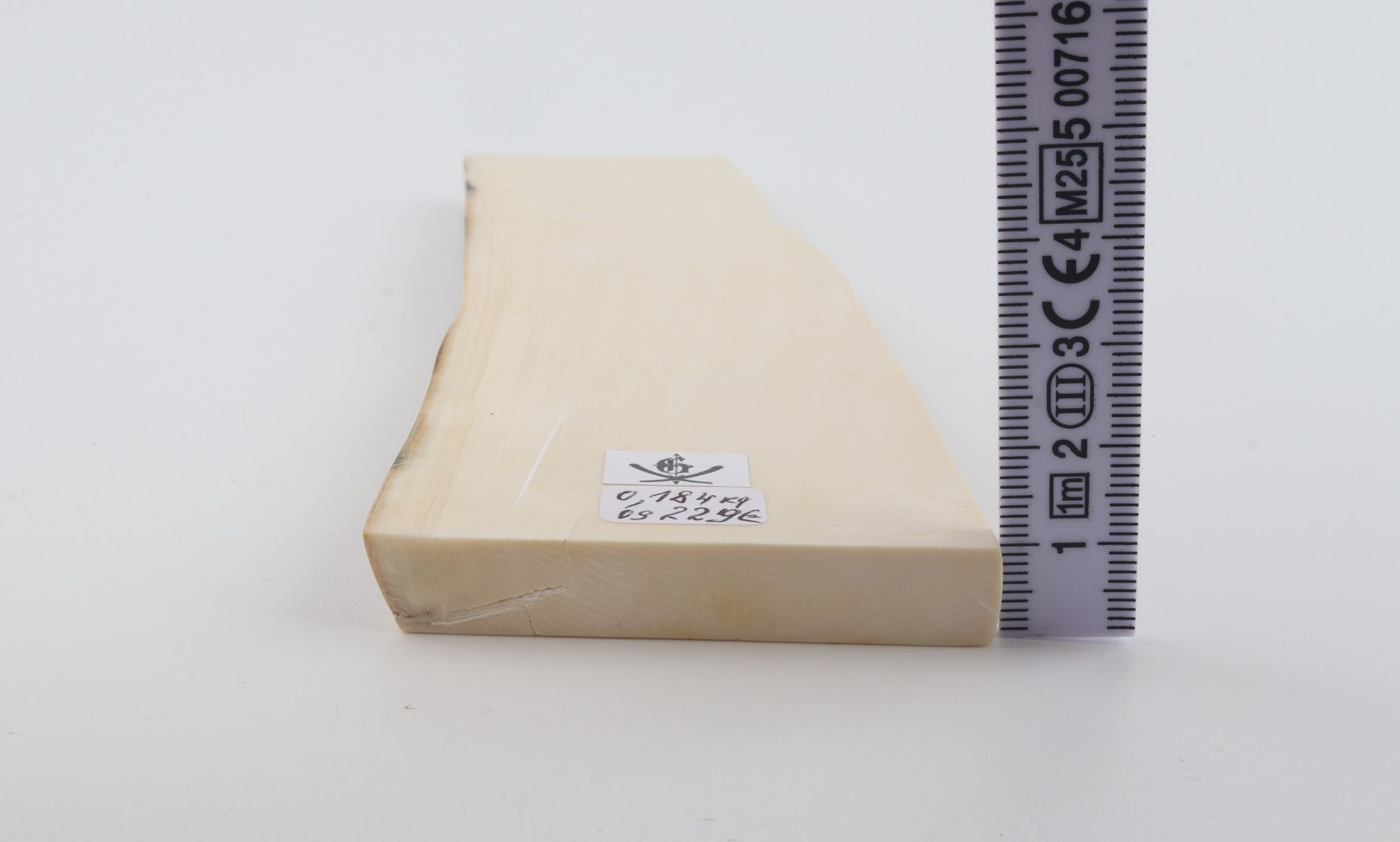 White mammoth ivory segment