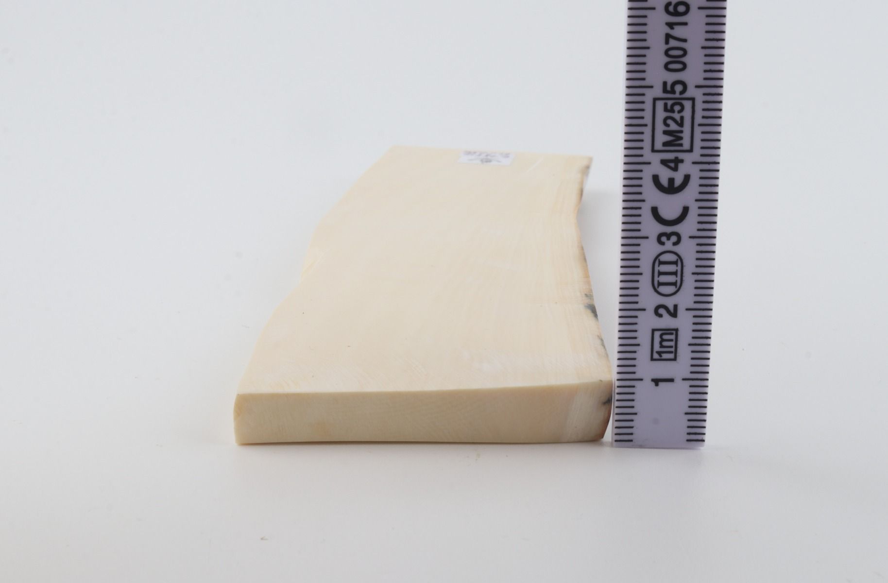White mammoth ivory segment