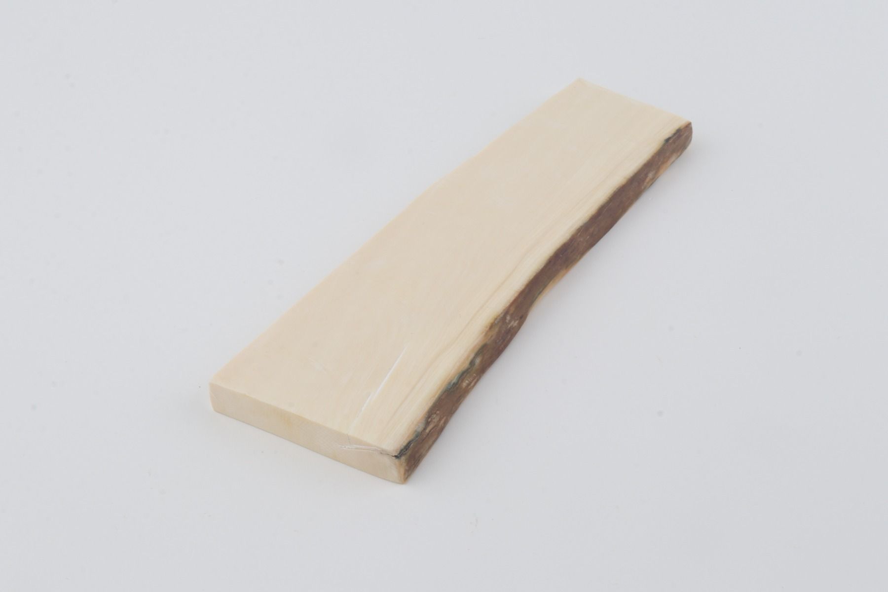 White mammoth ivory segment