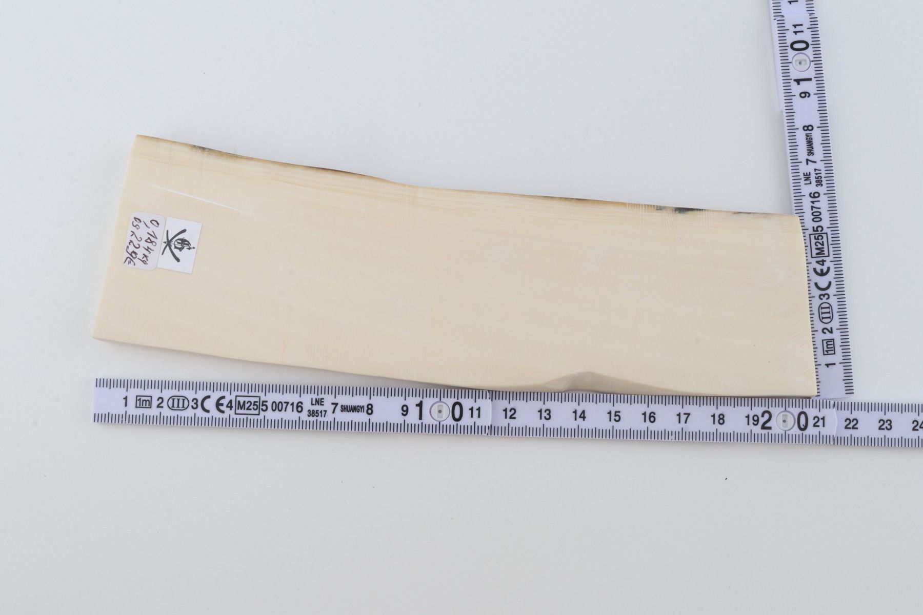 White mammoth ivory segment