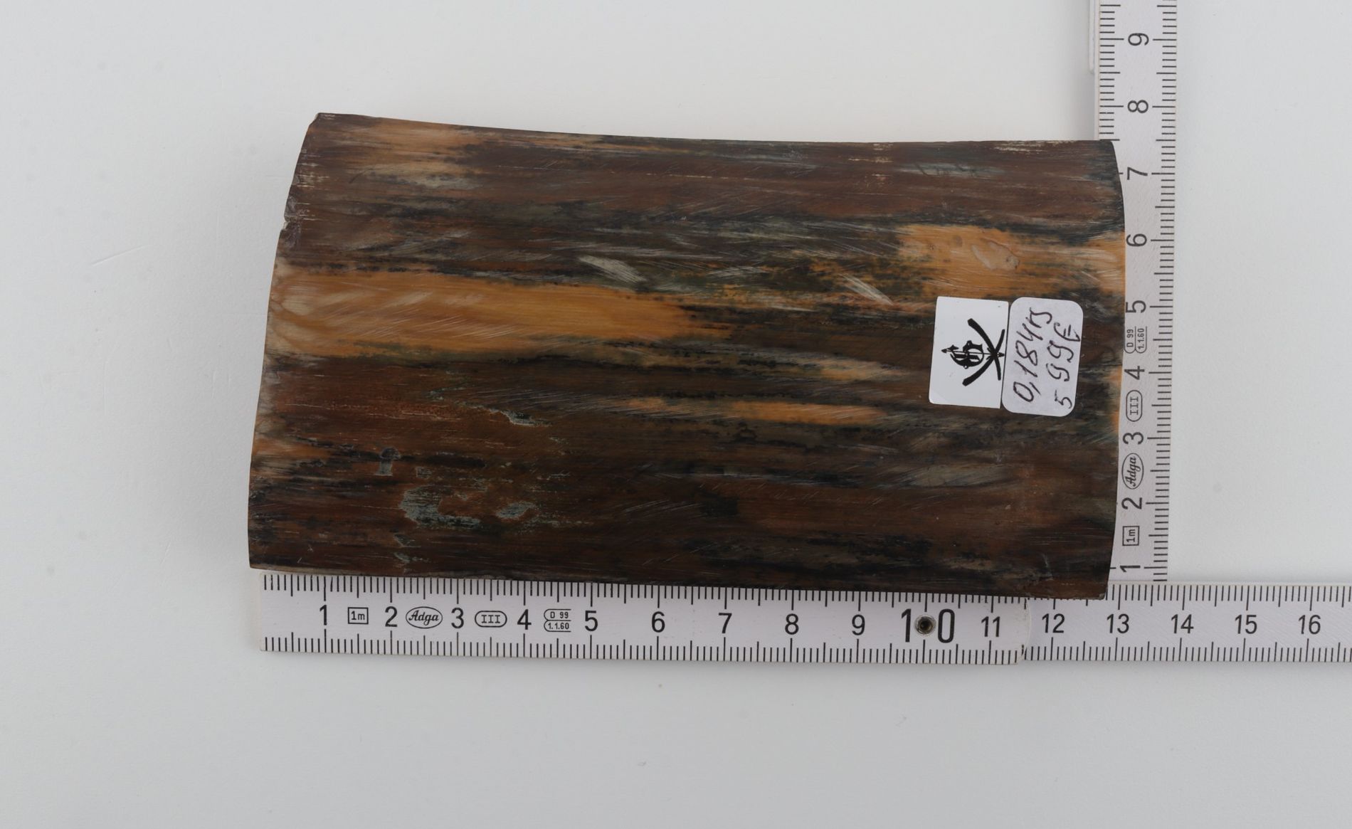 Blue-brown mammoth bark
