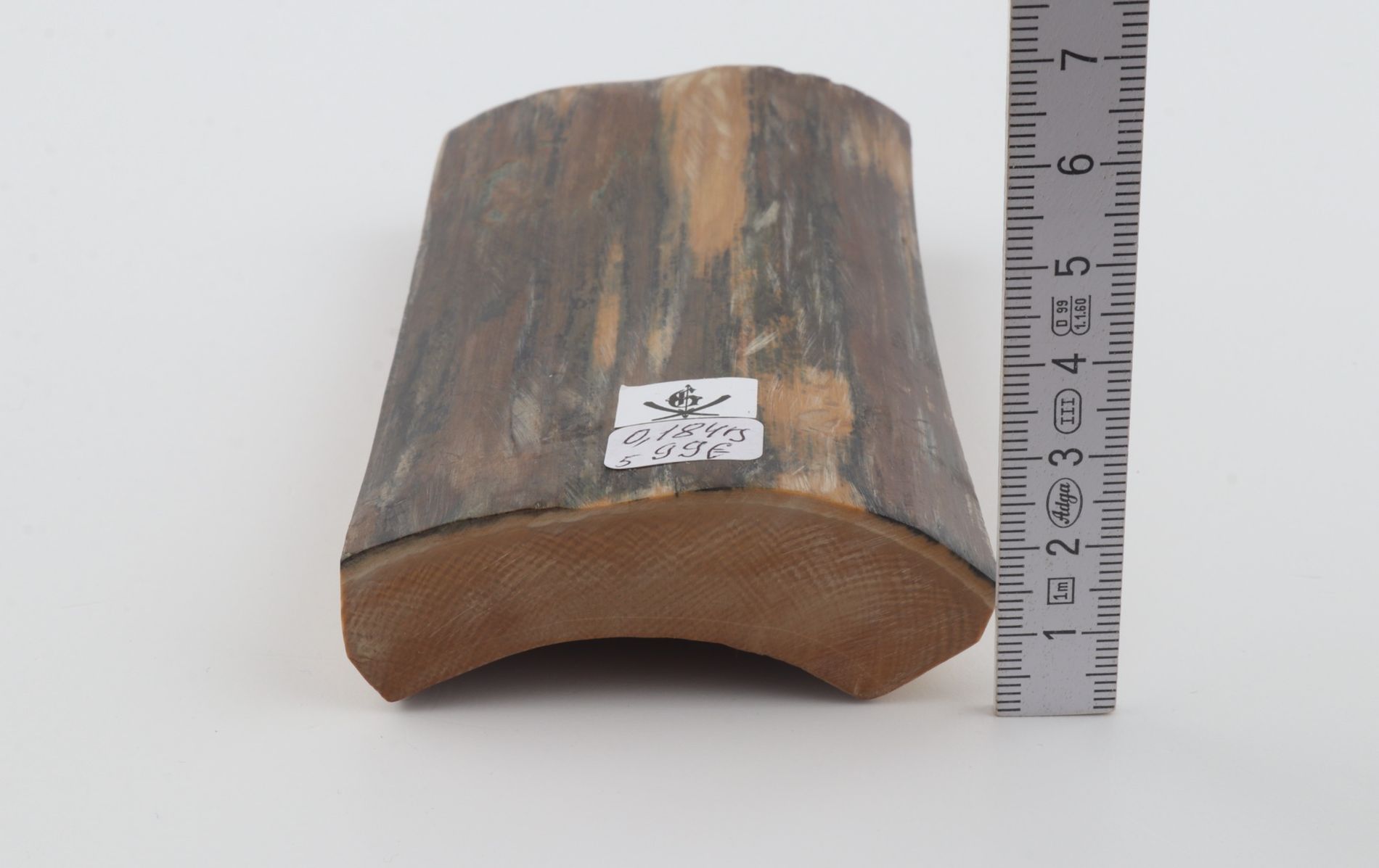 Blue-brown mammoth bark