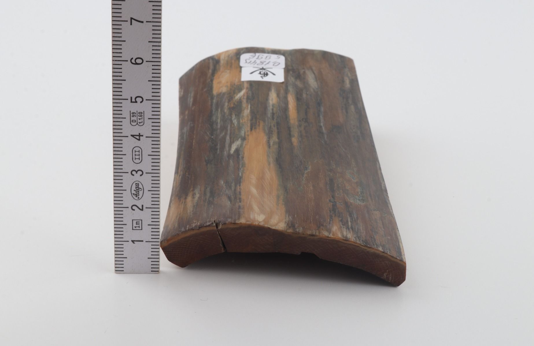 Blue-brown mammoth bark