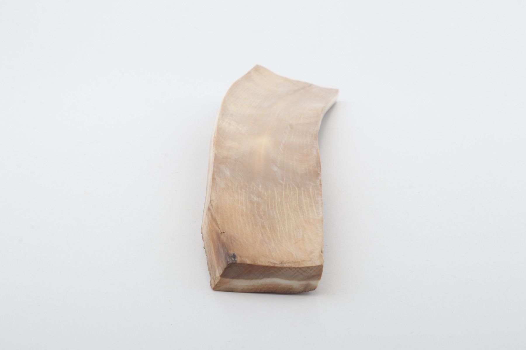Beige-brown mammoth bark