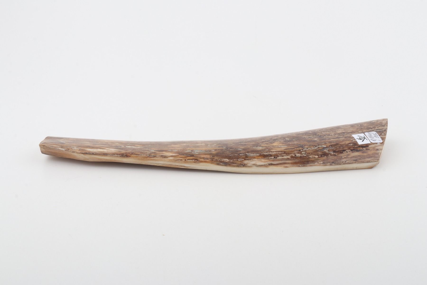 Beige-brown mammoth bark