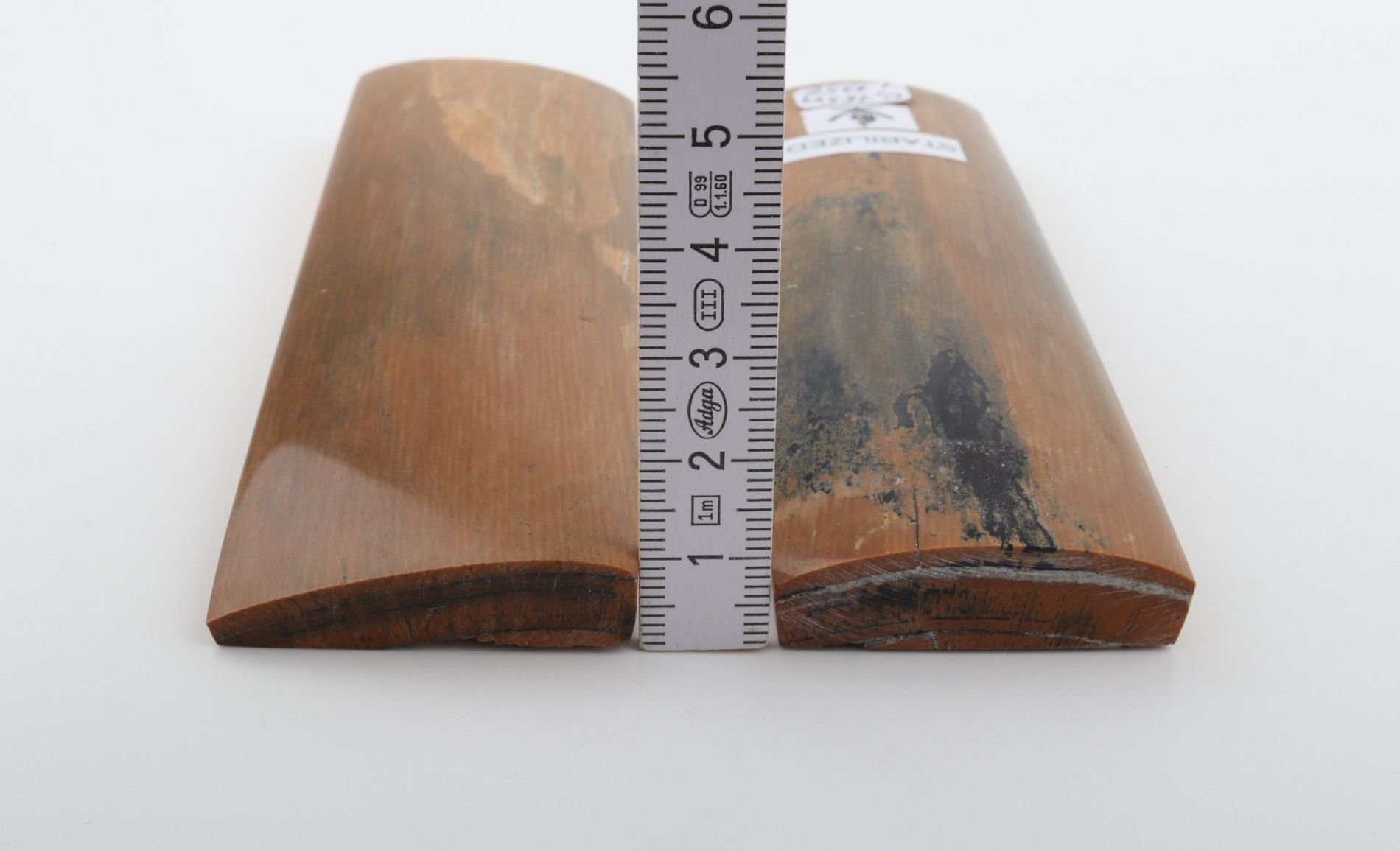 Stabilized mammoth bark scales