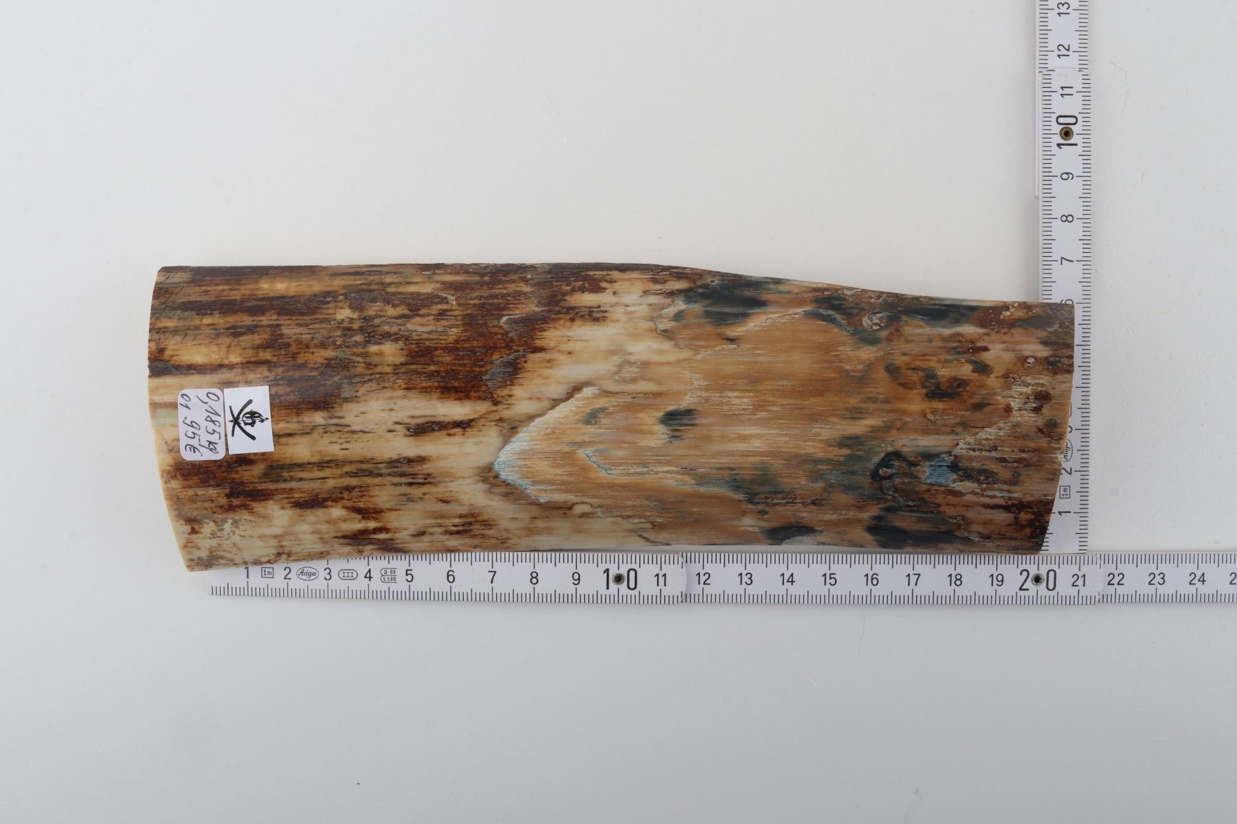 Natural mammoth bark