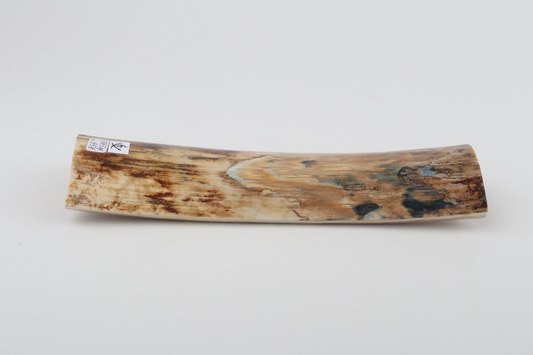 Natural mammoth bark