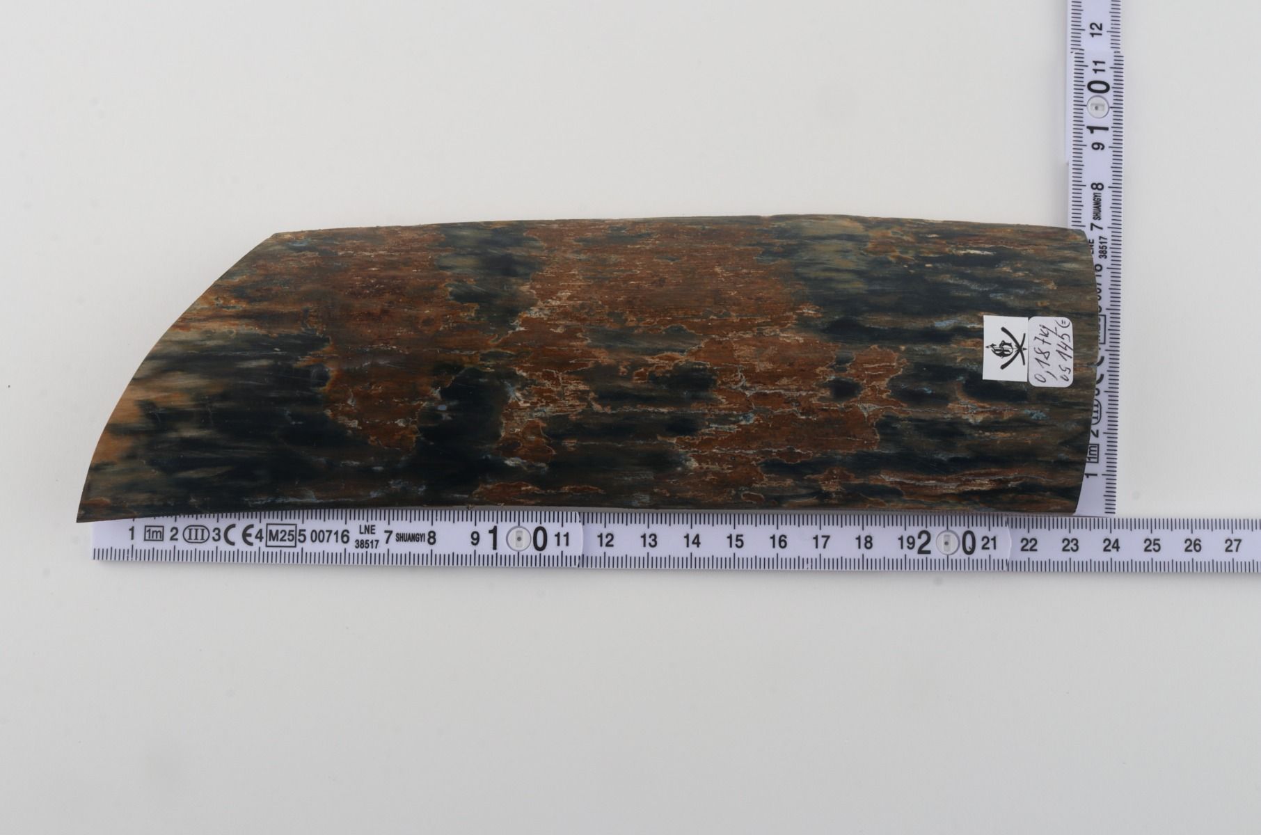 Blue-brown mammoth bark