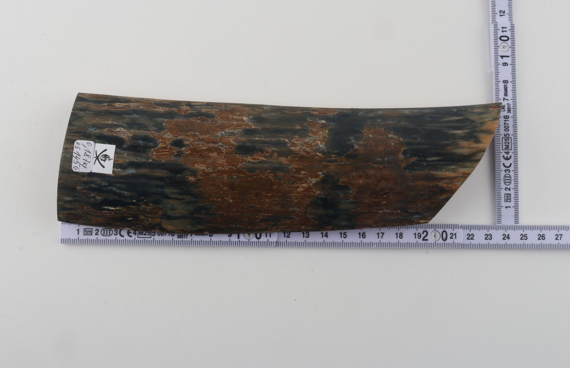 Blue-brown mammoth bark