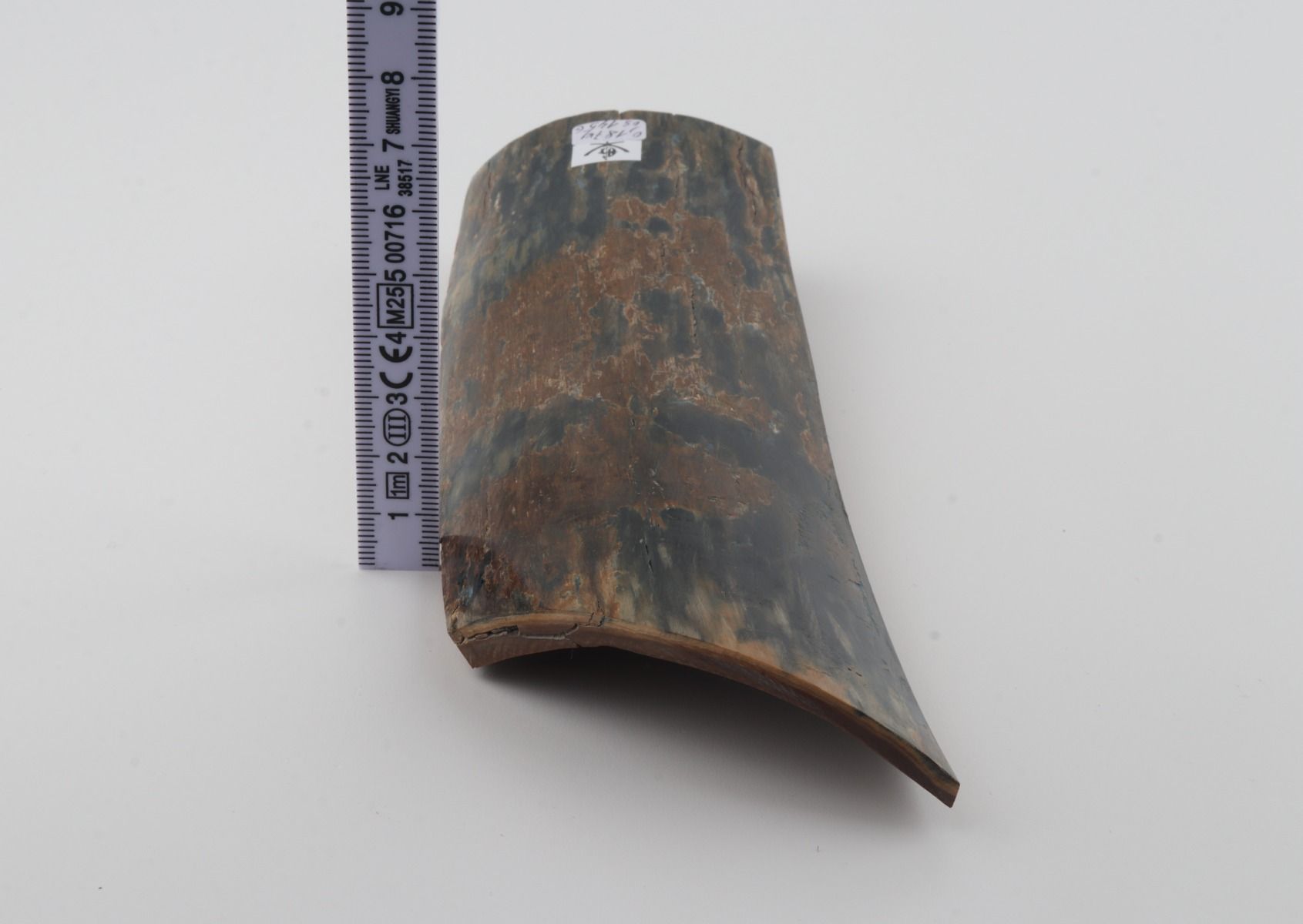 Blue-brown mammoth bark