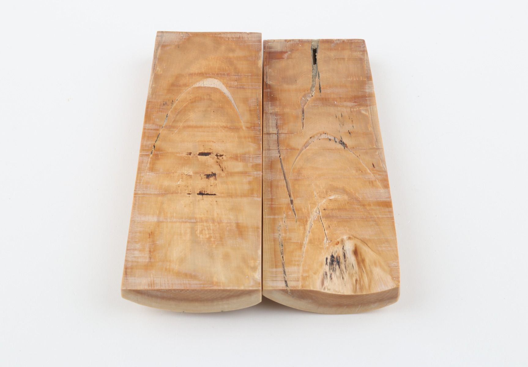 Stabilised mammoth bark scales