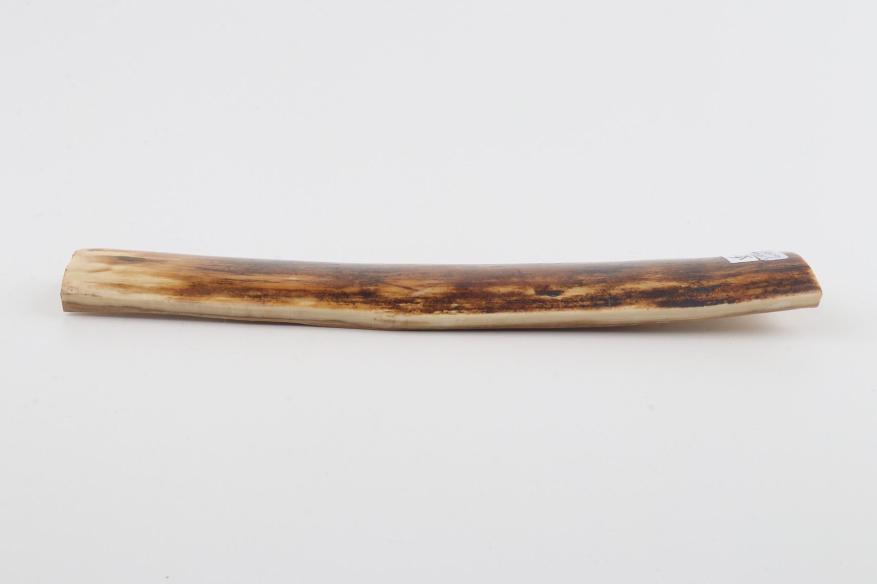 Orange-brown mammoth bark