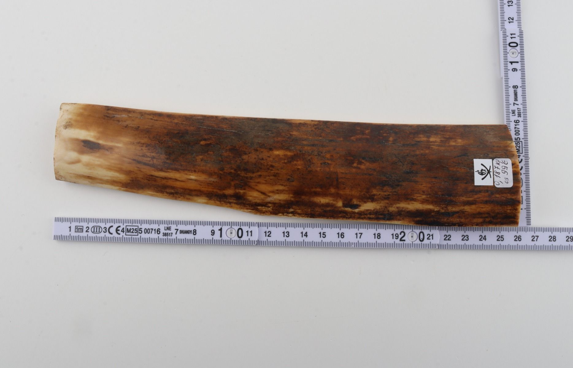 Orange-brown mammoth bark