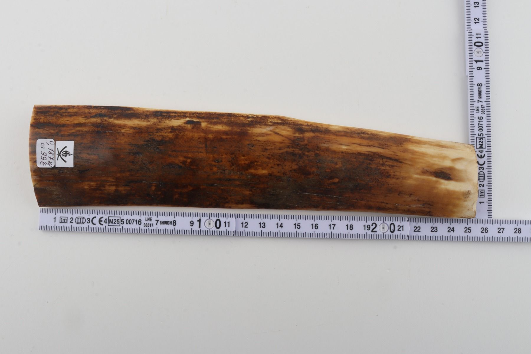 Orange-brown mammoth bark
