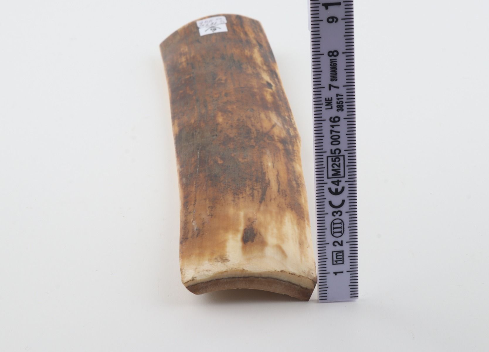 Orange-brown mammoth bark