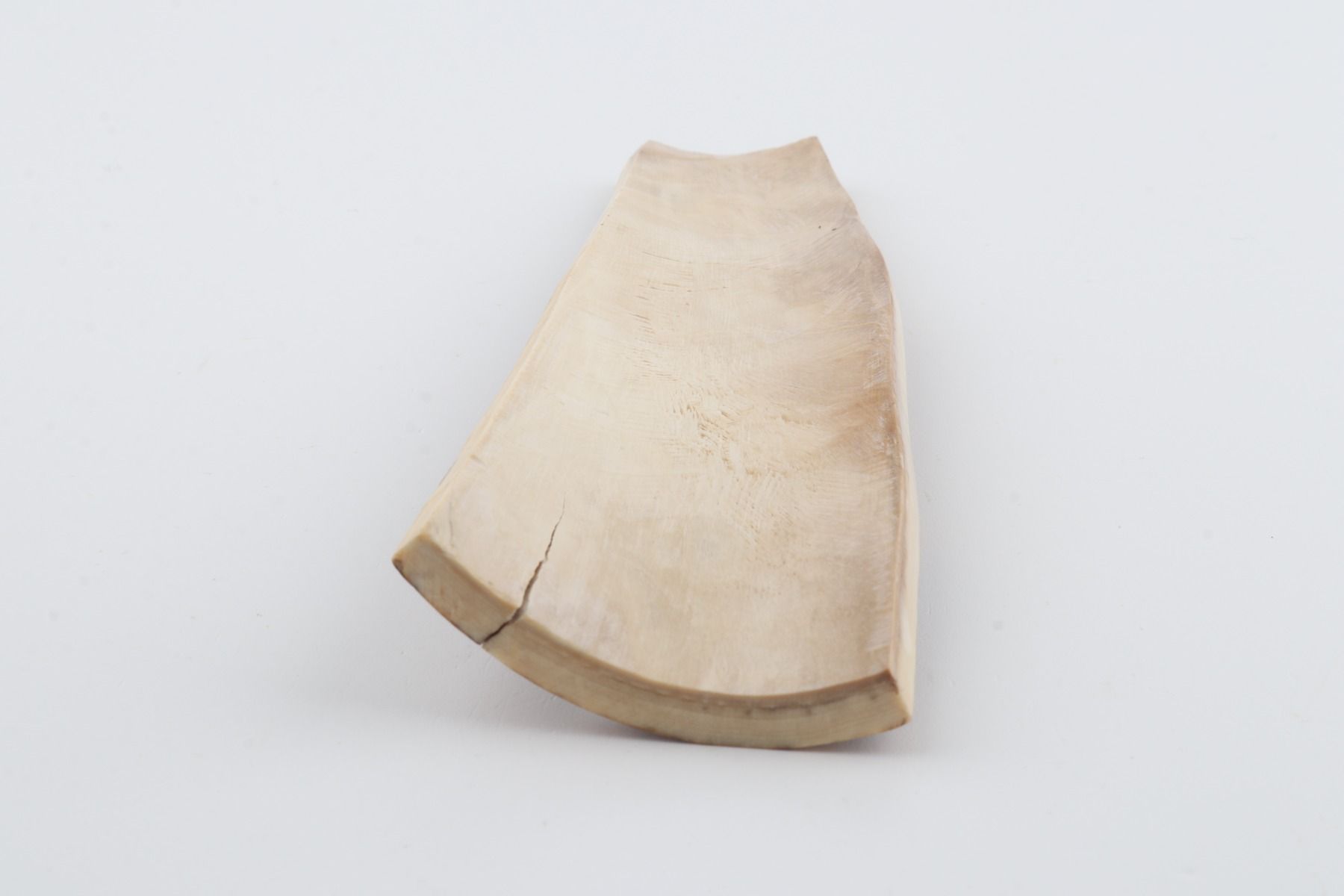 Orange-brown mammoth bark