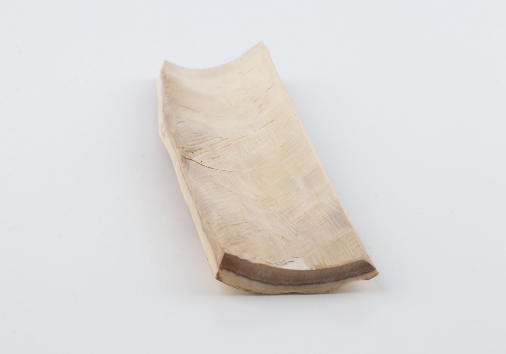 Orange-brown mammoth bark