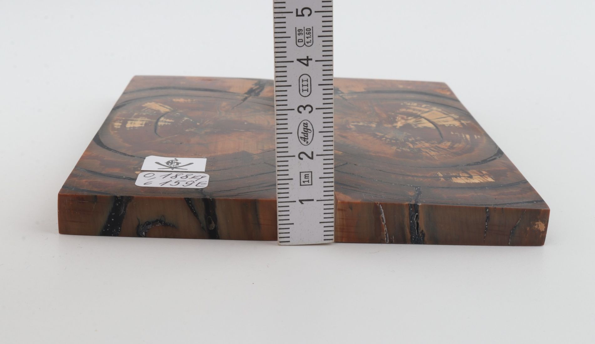 Stabilized mammoth ivory scales