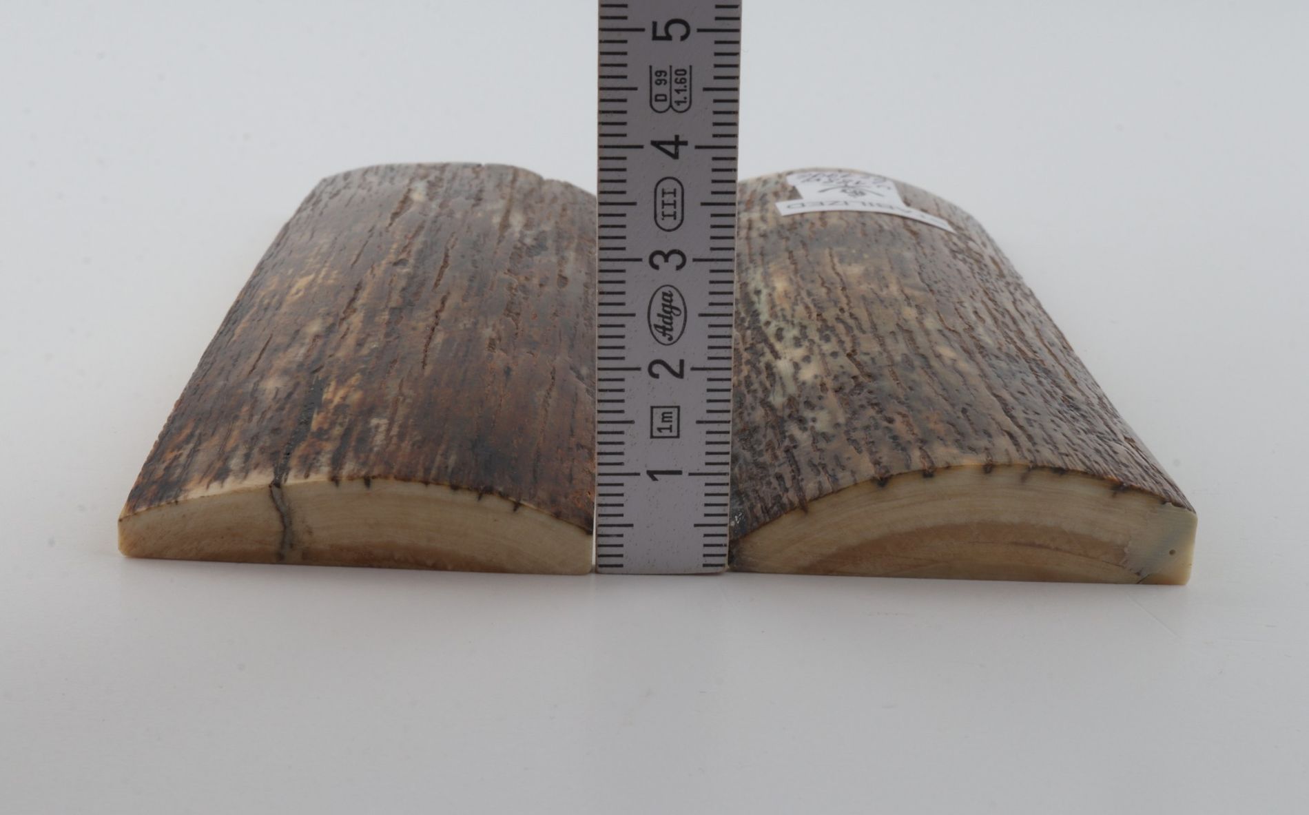 Stabilized mammoth bark scales