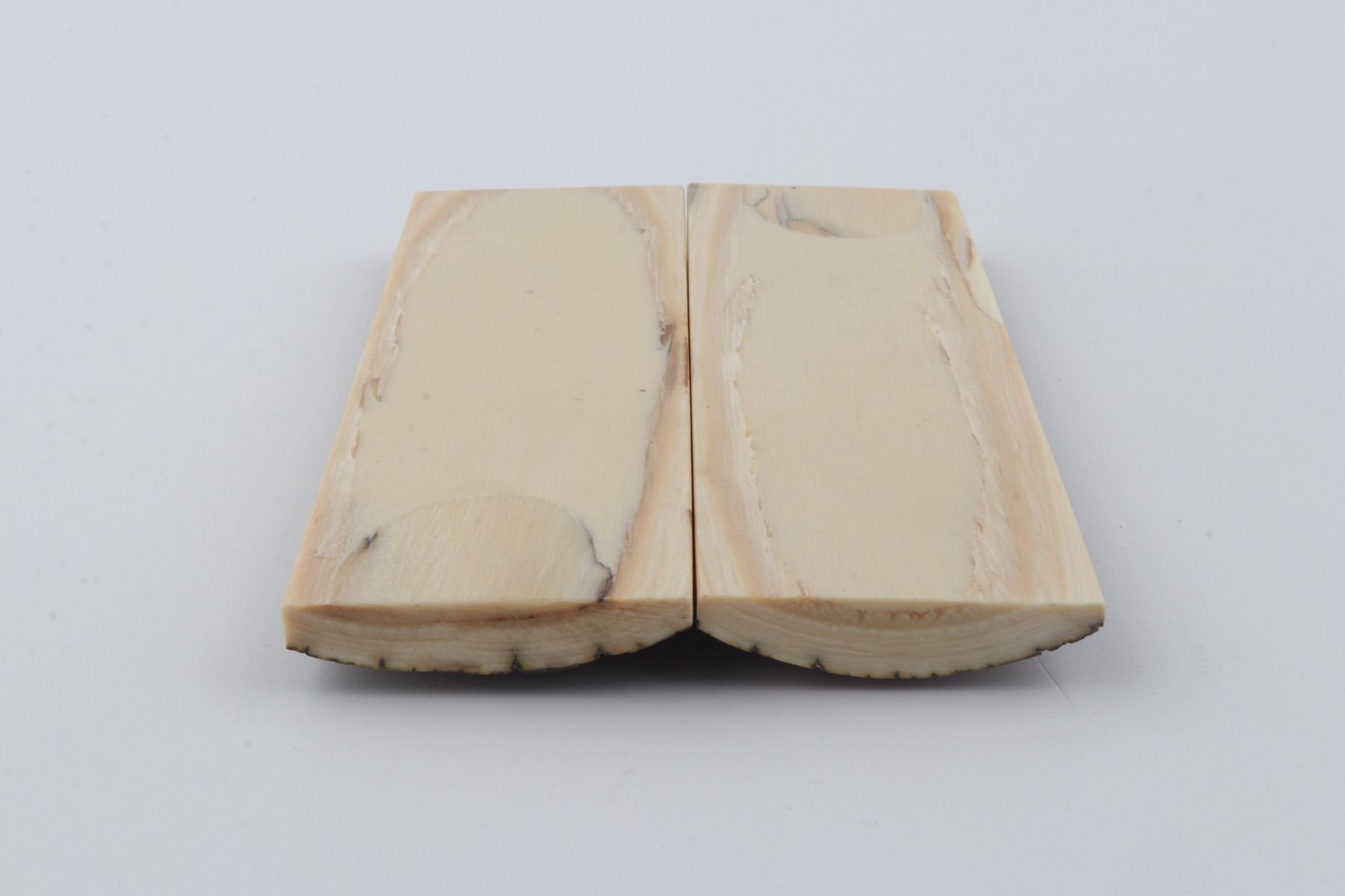 Stabilized mammoth bark scales