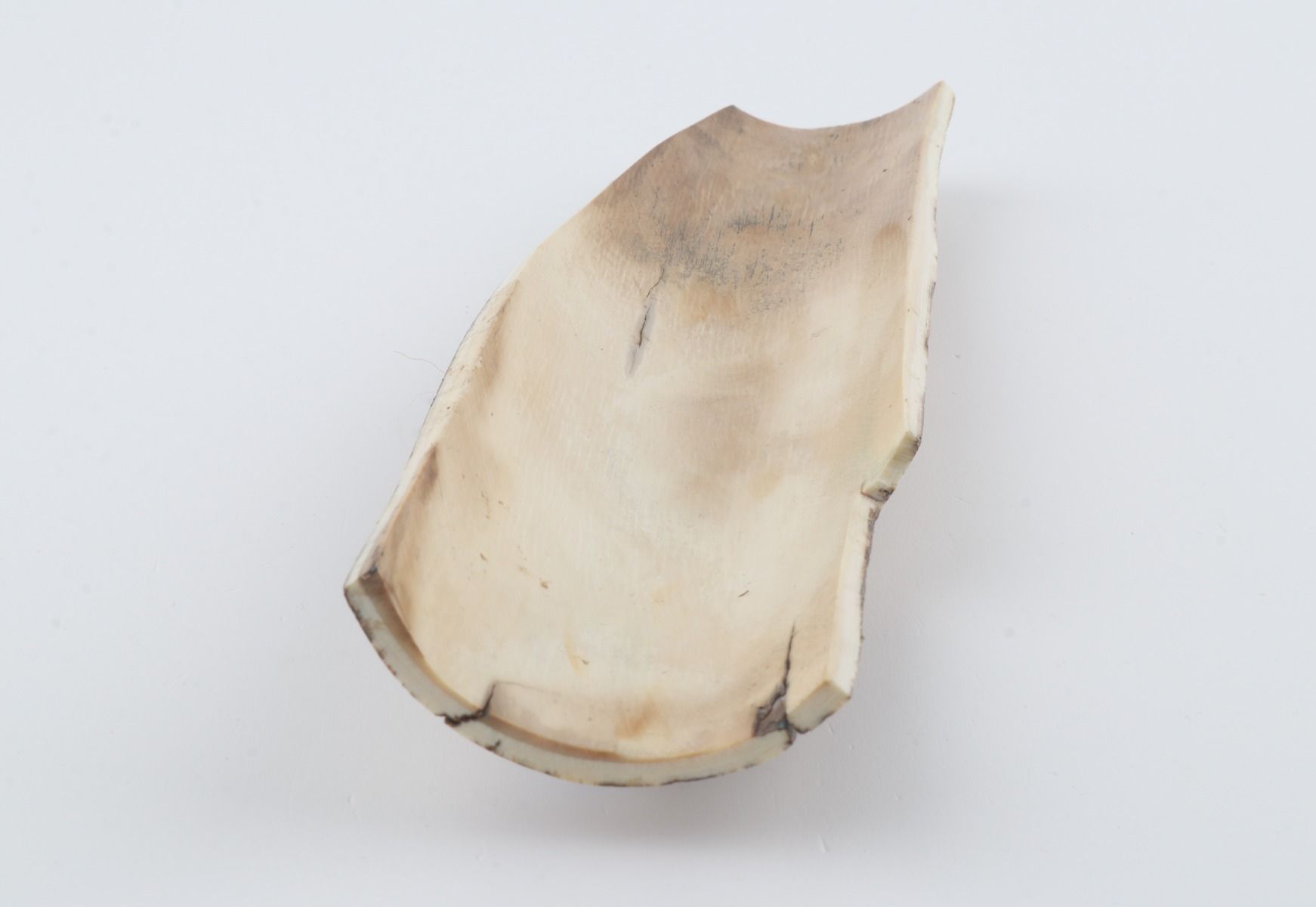 Beige-white mammoth bark