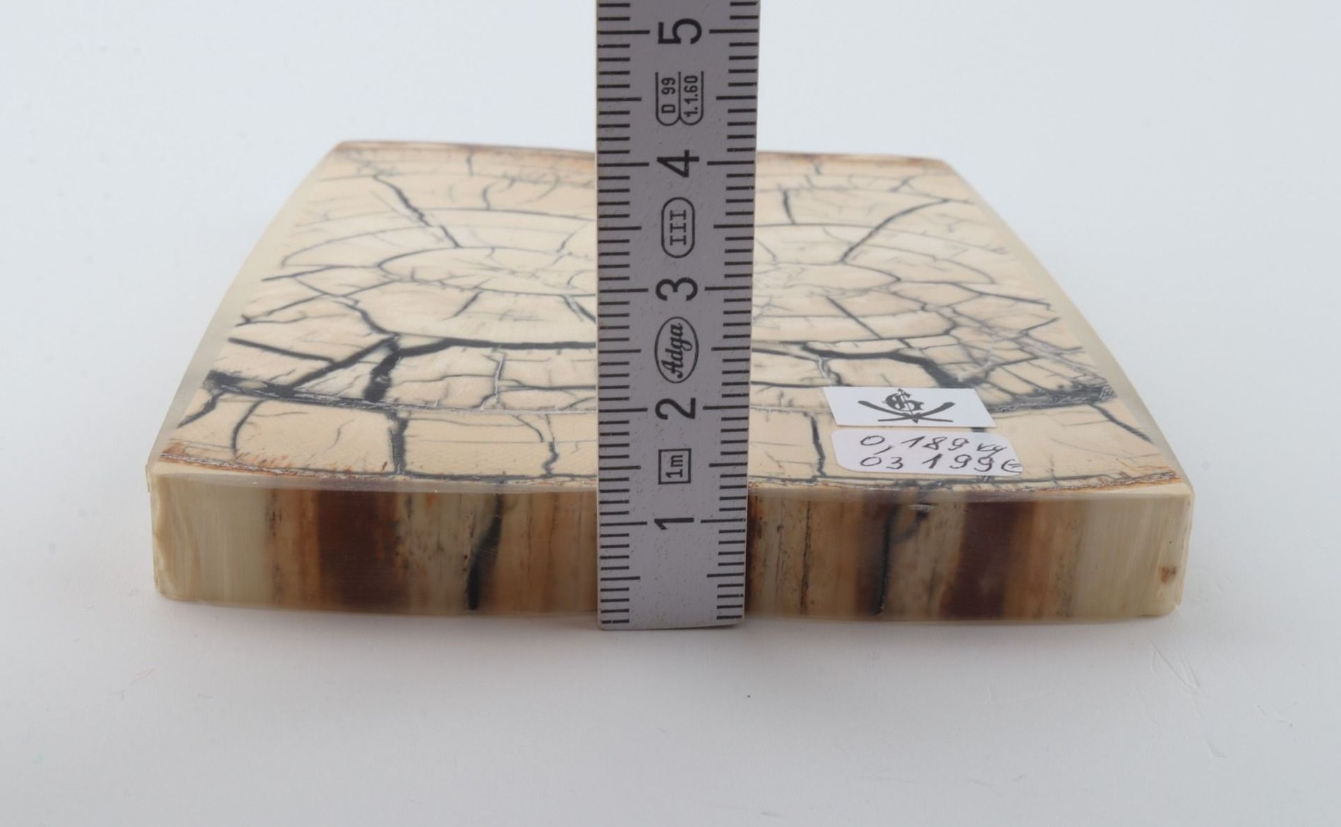 Stabilized mammoth ivory scales