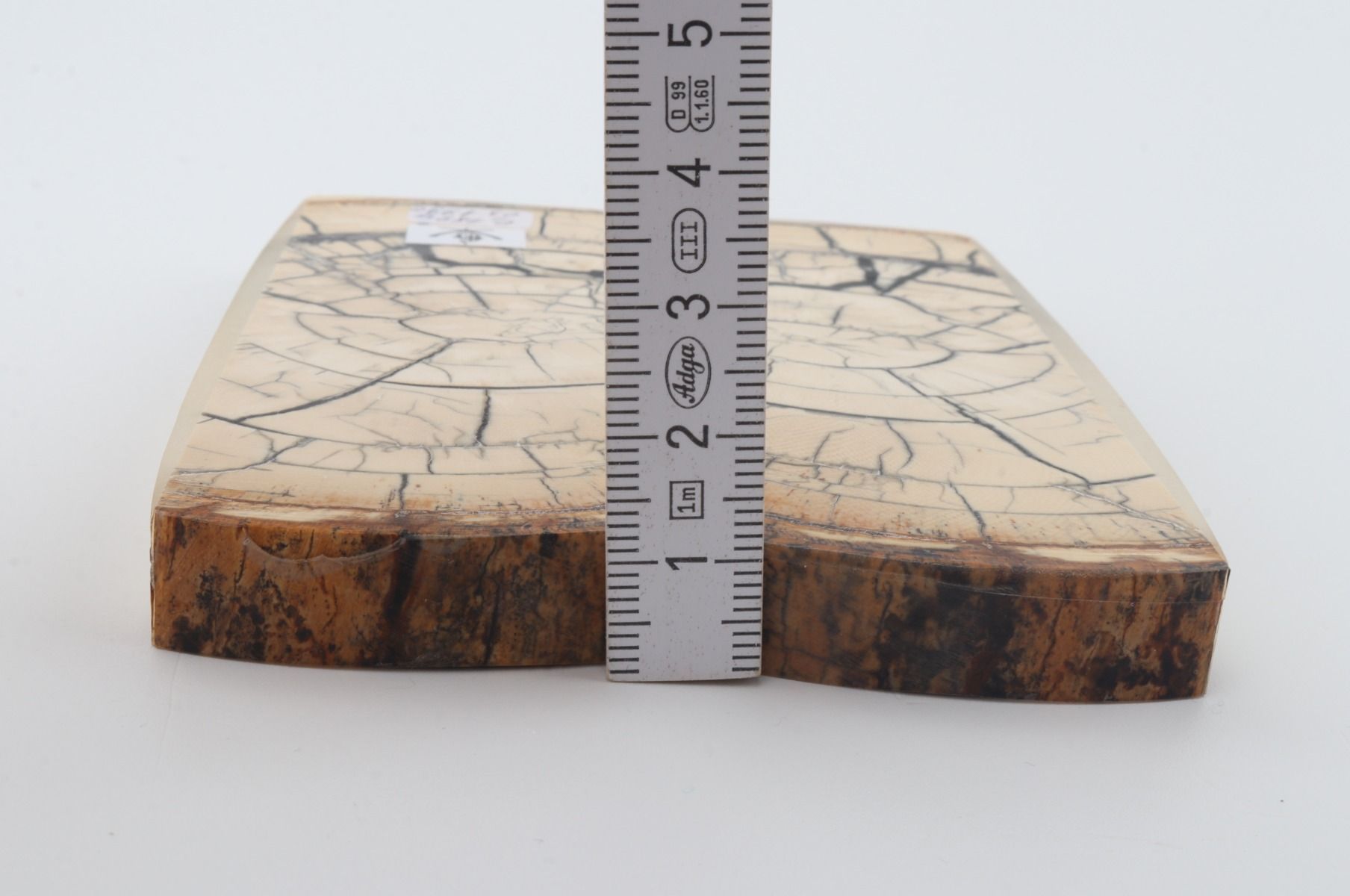 Stabilized mammoth ivory scales