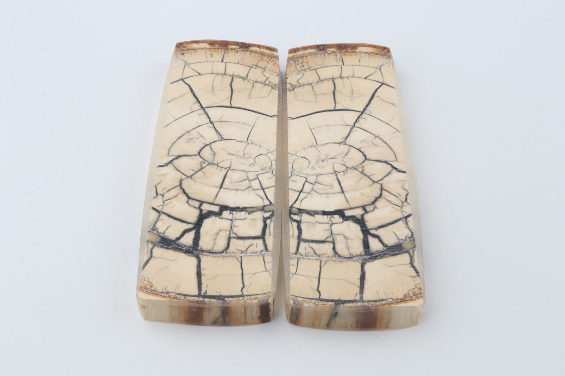 Stabilized mammoth ivory scales