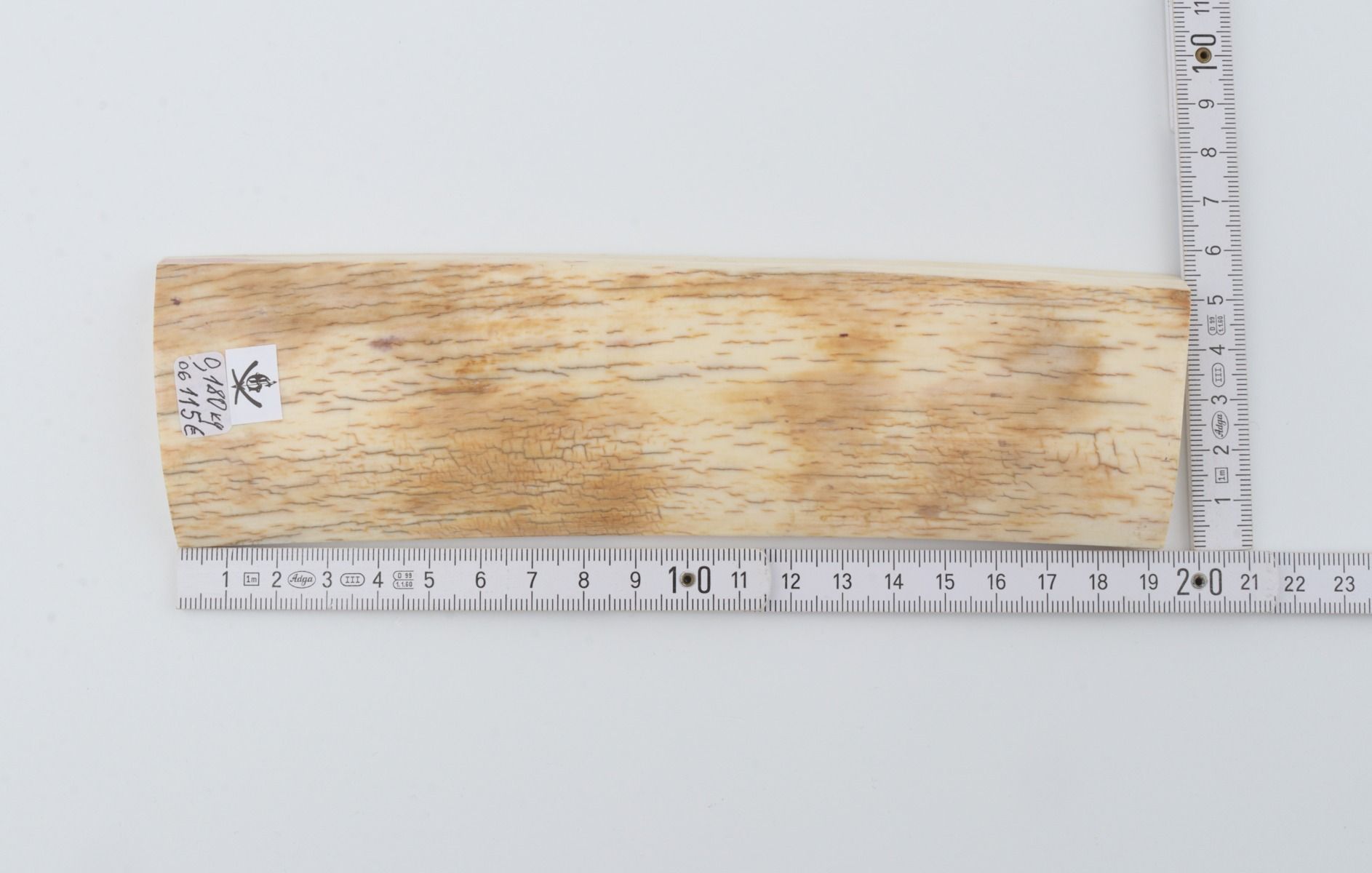 Natural mammoth ivory piece