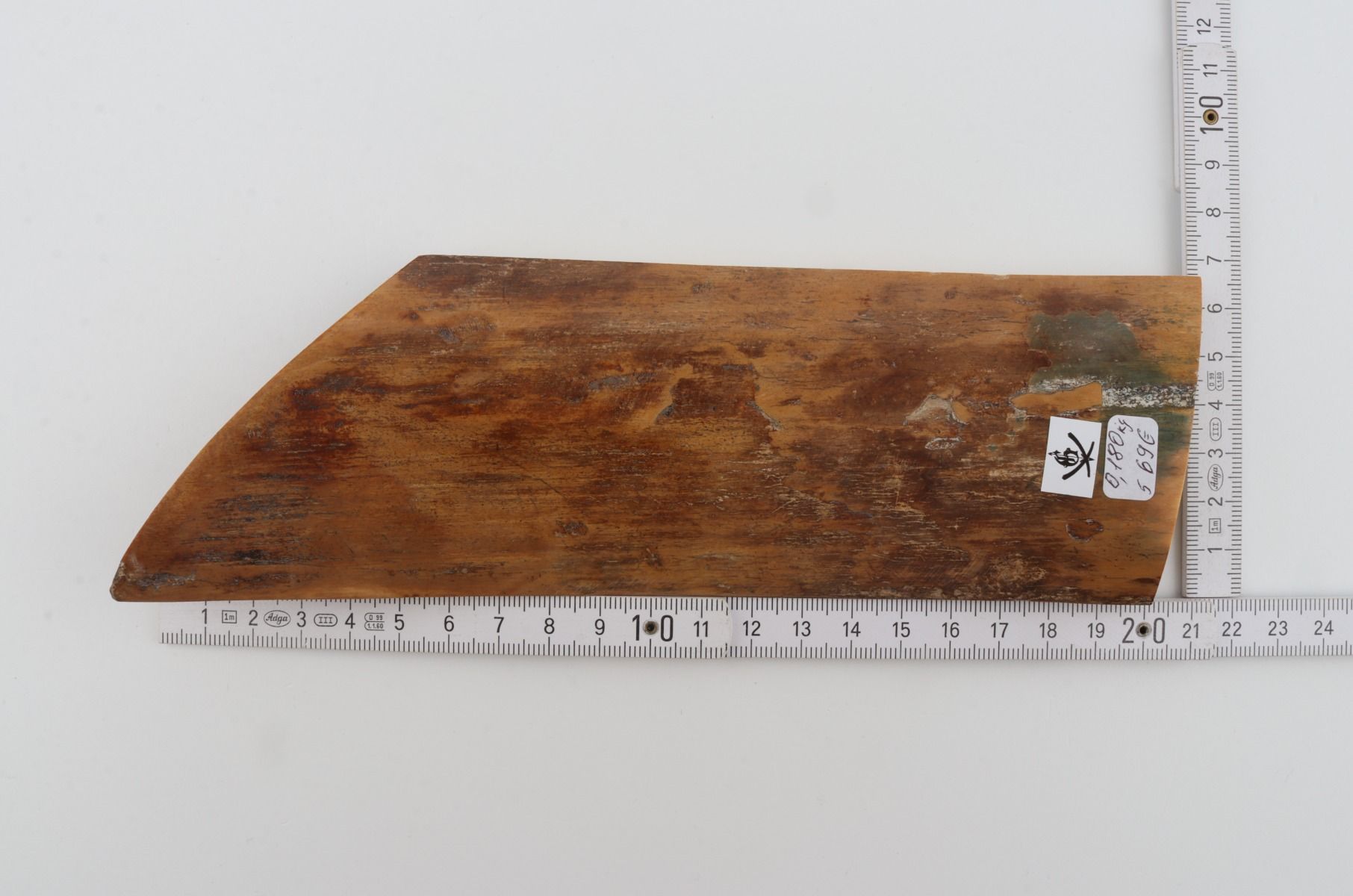 Brown-mustard mammoth bark