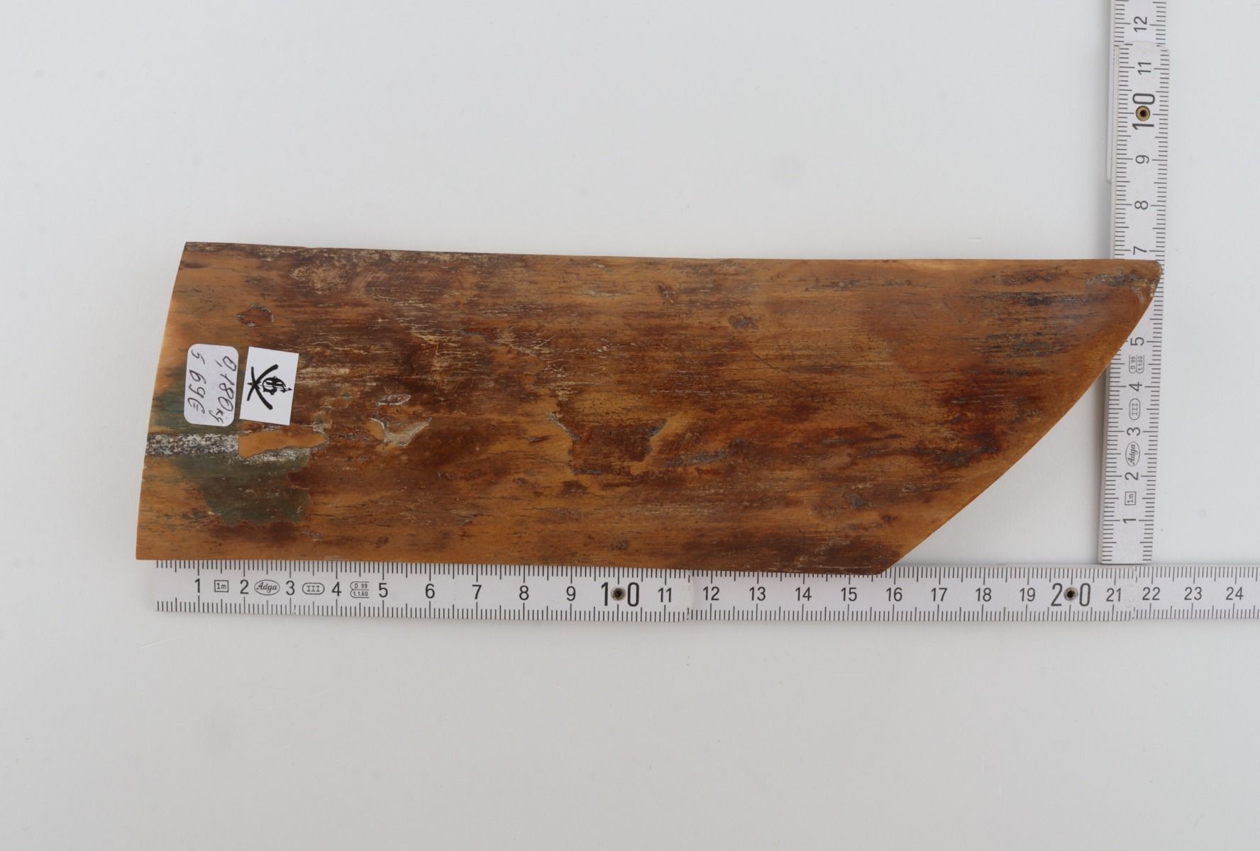 Brown-mustard mammoth bark