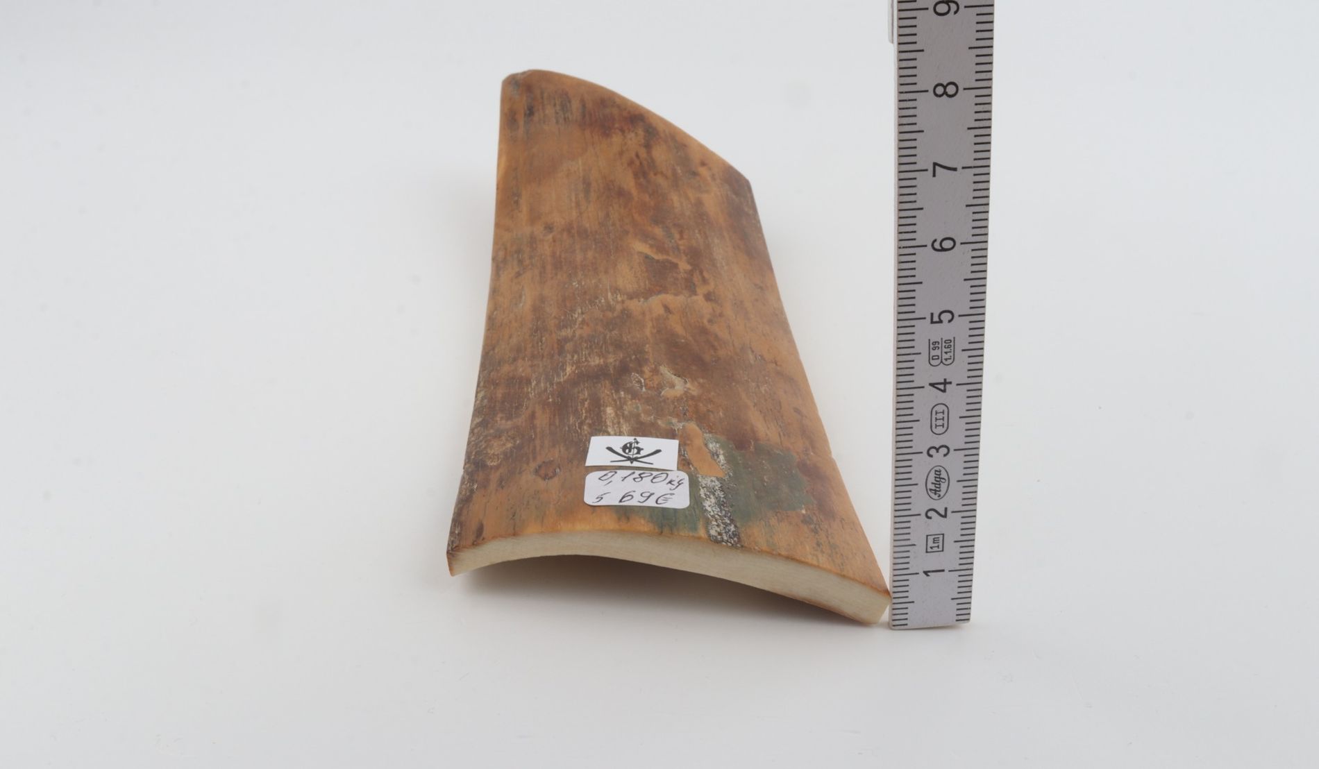 Brown-mustard mammoth bark