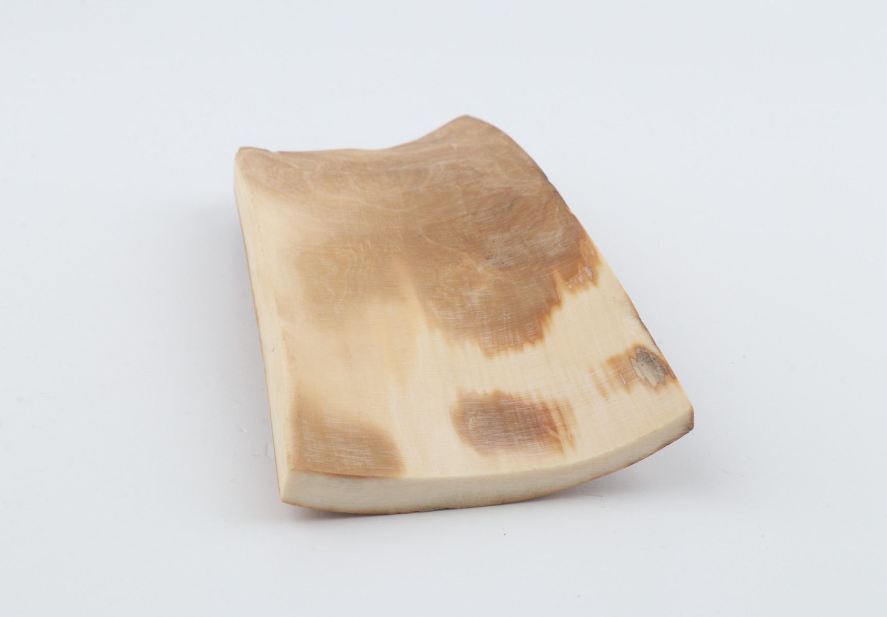 Brown-mustard mammoth bark