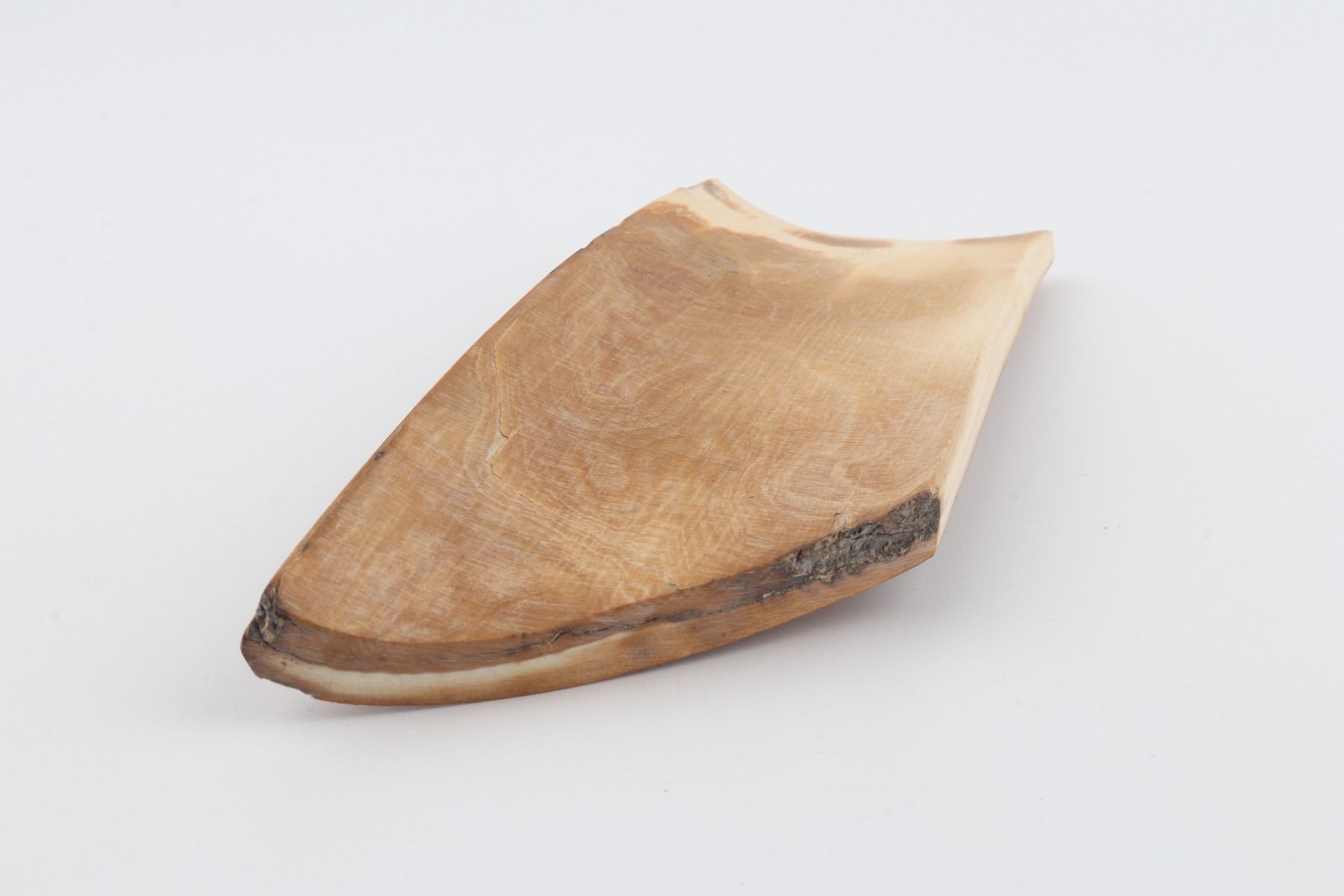 Brown-mustard mammoth bark