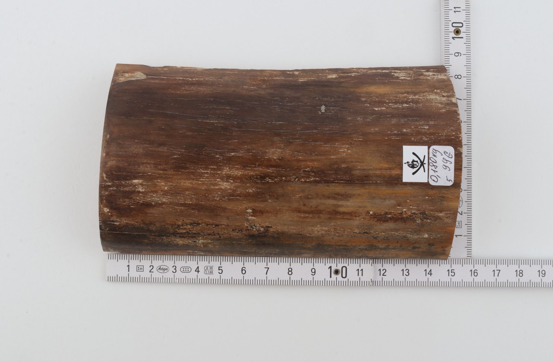 Brown mammoth bark