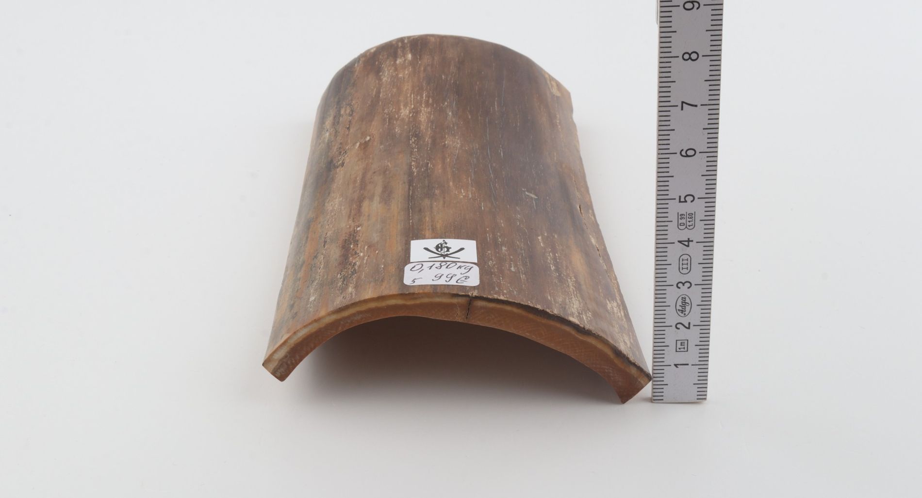 Brown mammoth bark