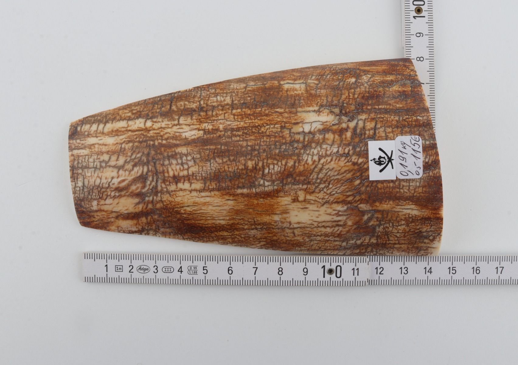 Orange mammoth bark