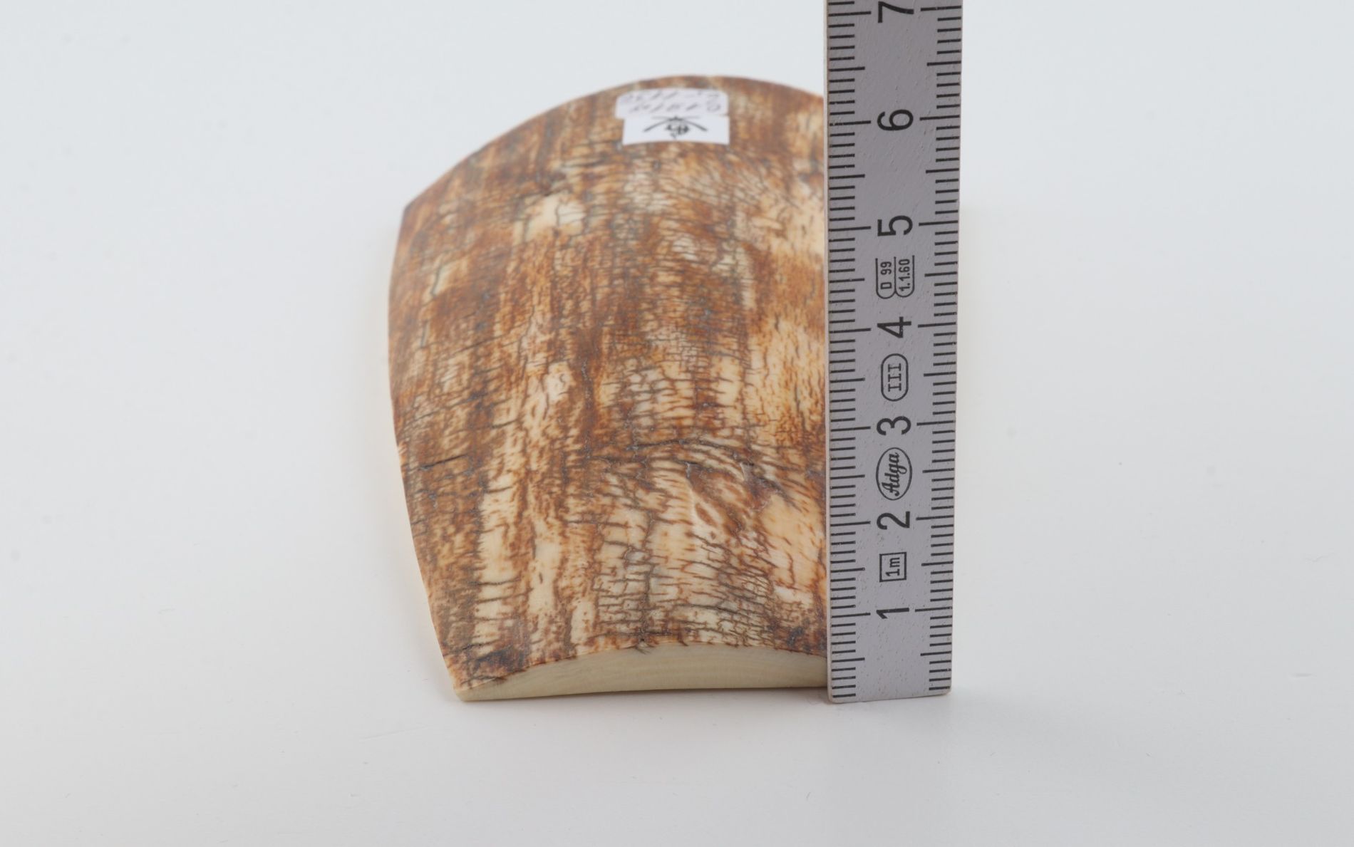 Orange mammoth bark