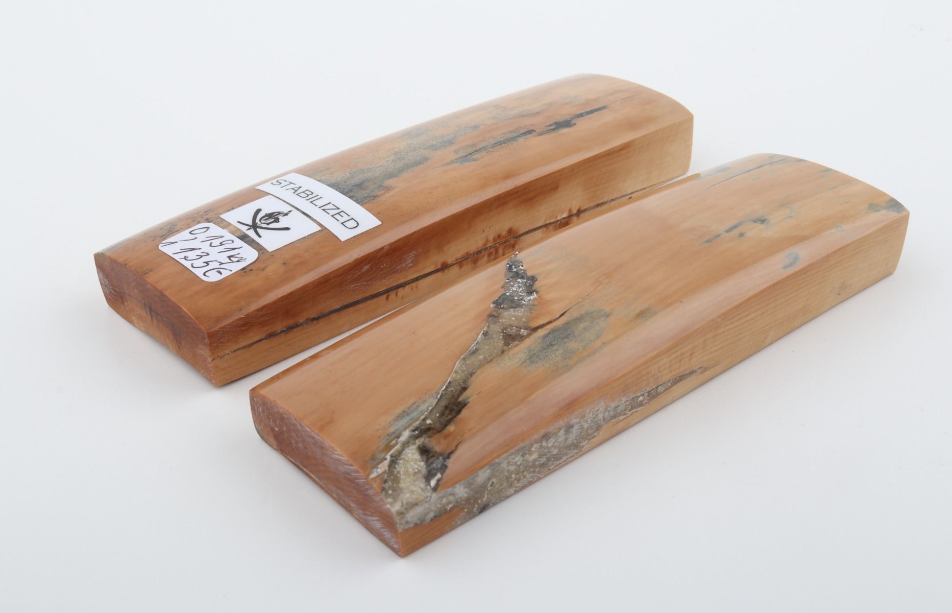 Stabilised mammoth bark scales
