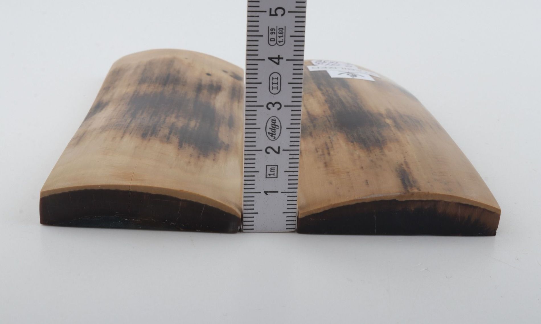 Stabilized mammoth bark scales