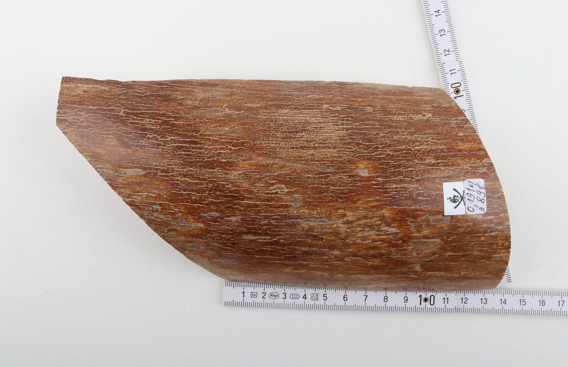 Caramel mammoth bark