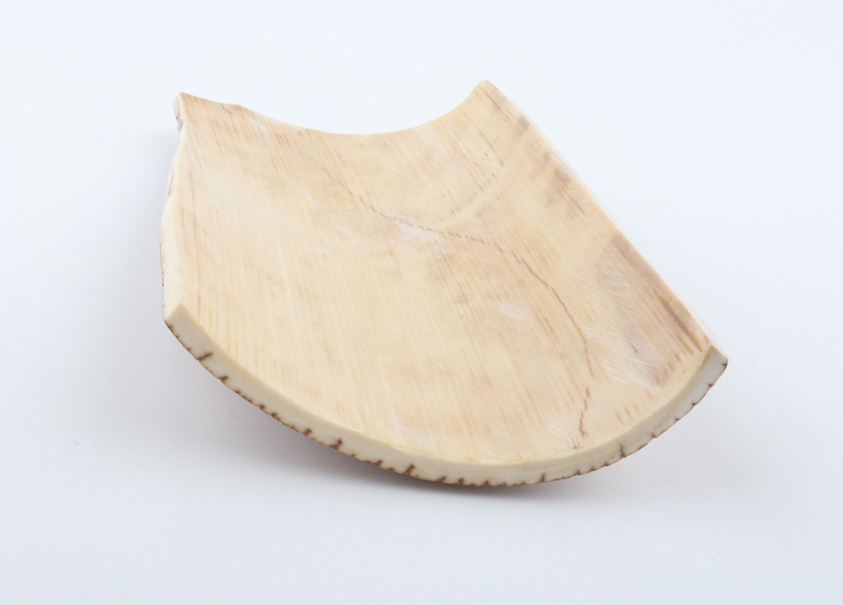 Caramel mammoth bark