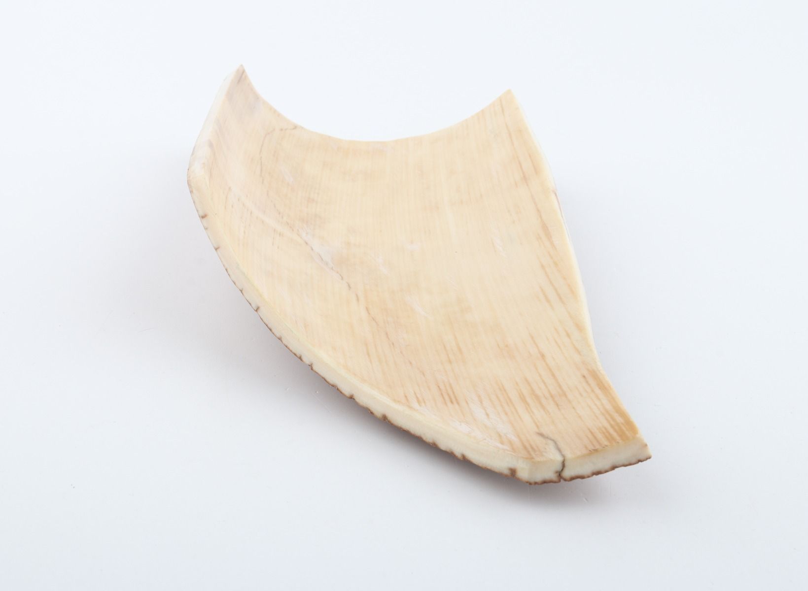 Caramel mammoth bark