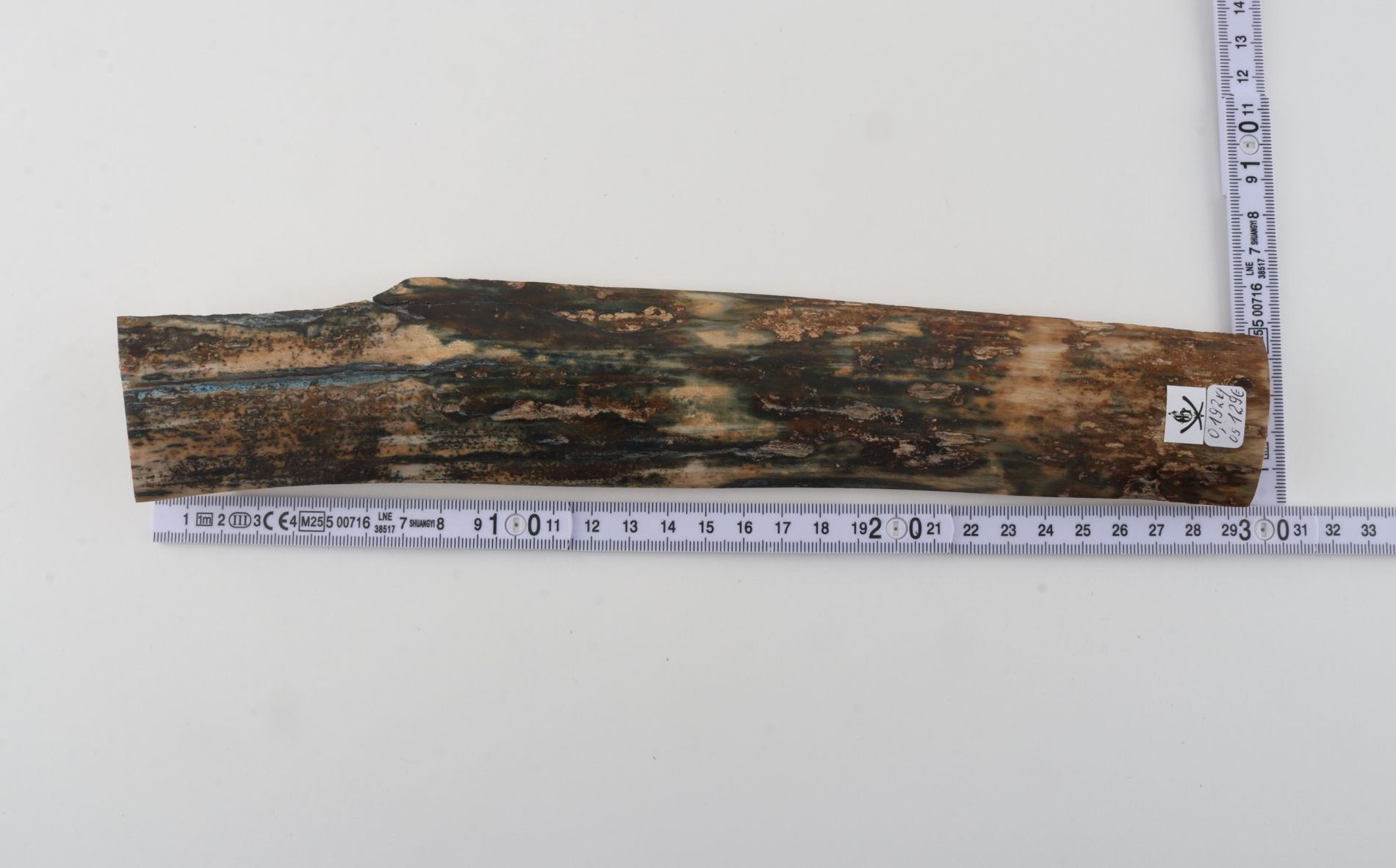Natural woolly mammoth bark