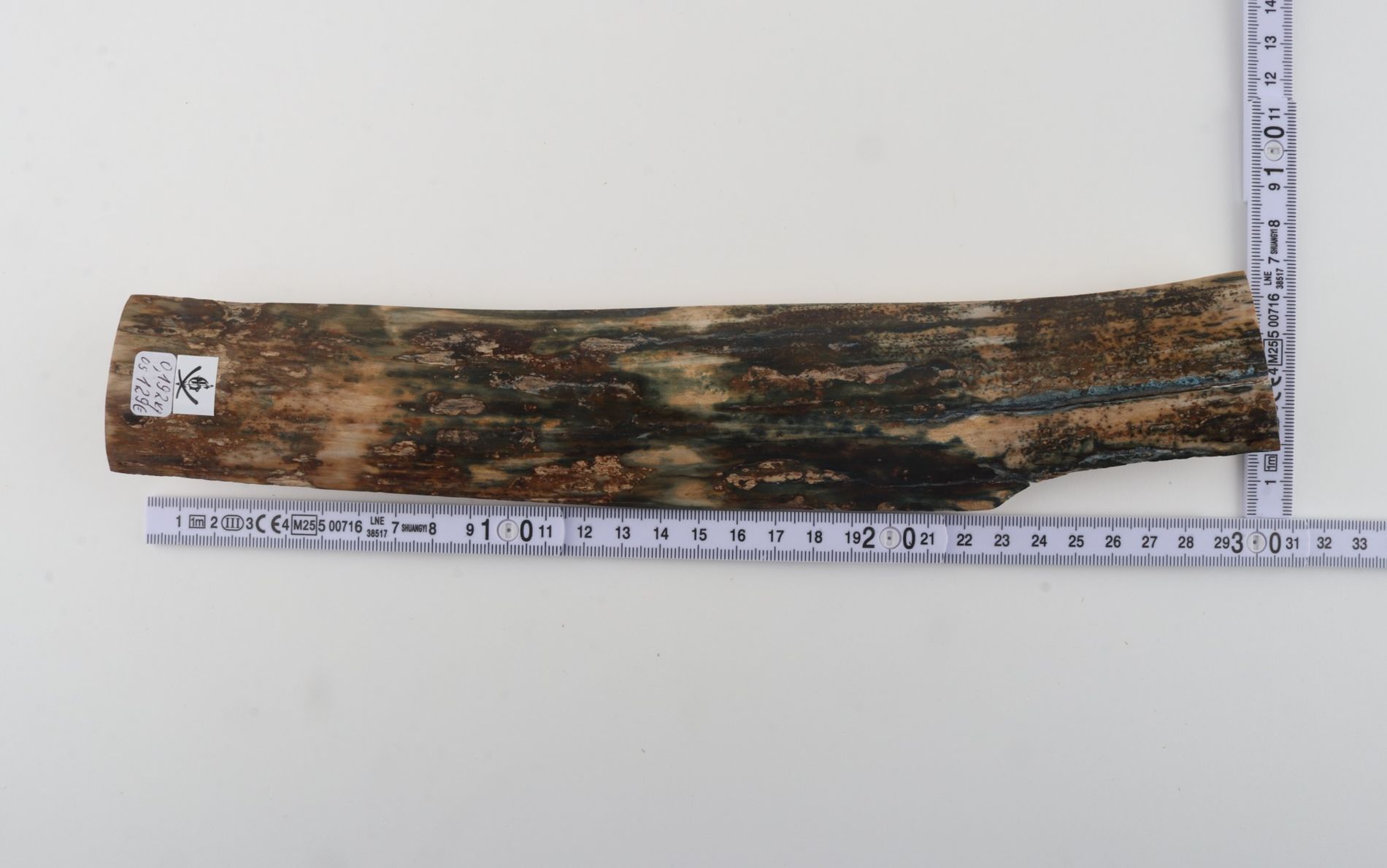 Natural woolly mammoth bark